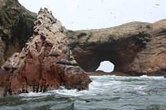 1187-Isole Ballestas,19 luglio 2013